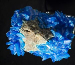 Concours 2014 2015 img1