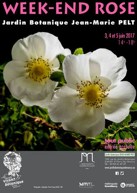 Concours 2016 2017 img 4